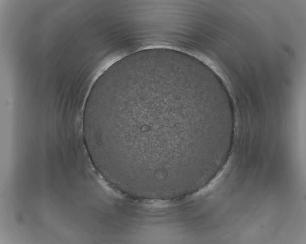 X0000111591145200907231209