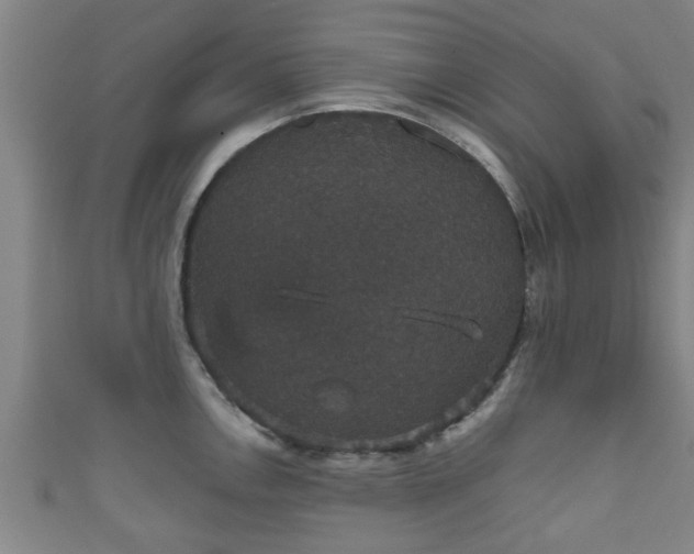 X0000111591146200907231209