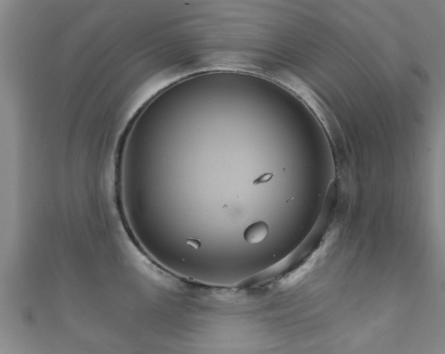 X0000111591147200907231209