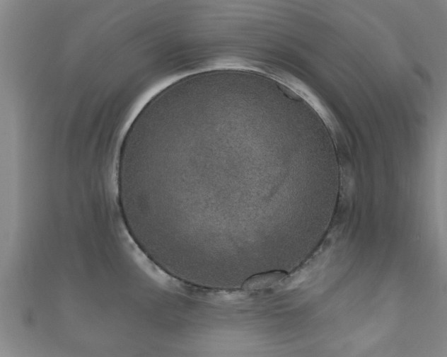 X0000111591148200907231209