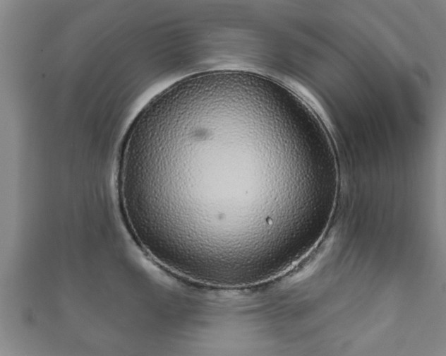 X0000111591149200907231209