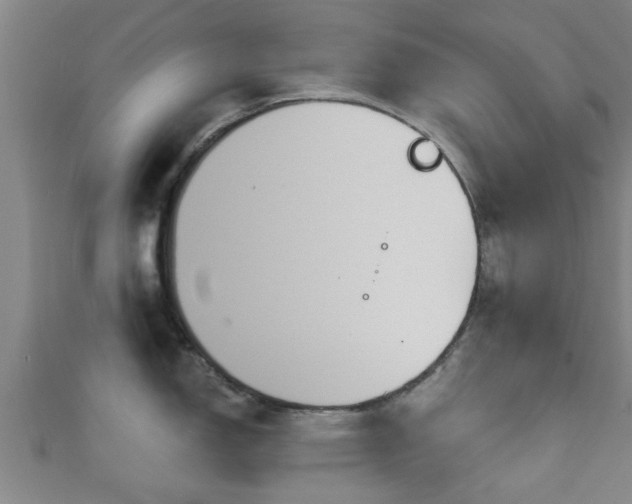 X0000111591150200907231209