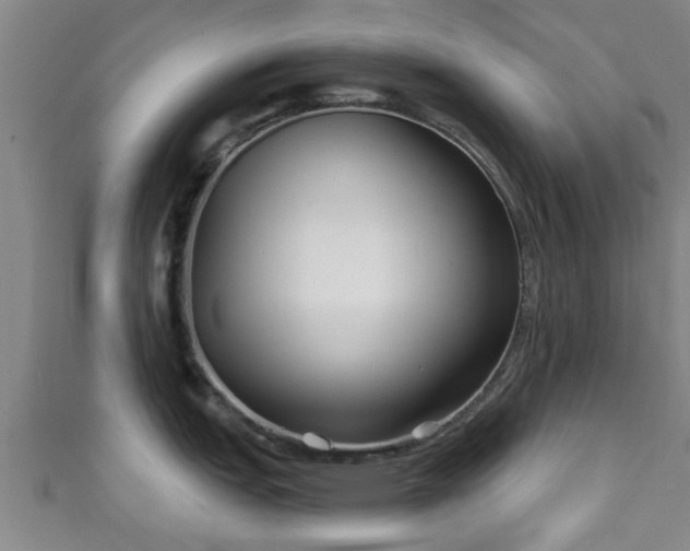 X0000111591151200907231209