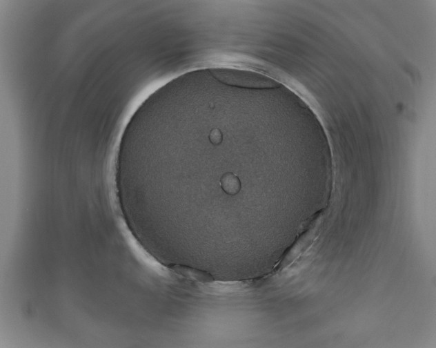 X0000111591152200907231209