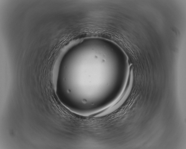 X0000111591153200907231208