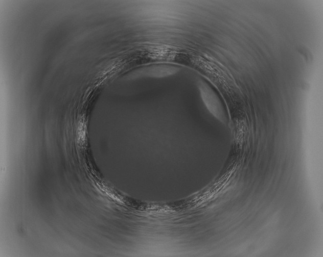 X0000111591154200907231208