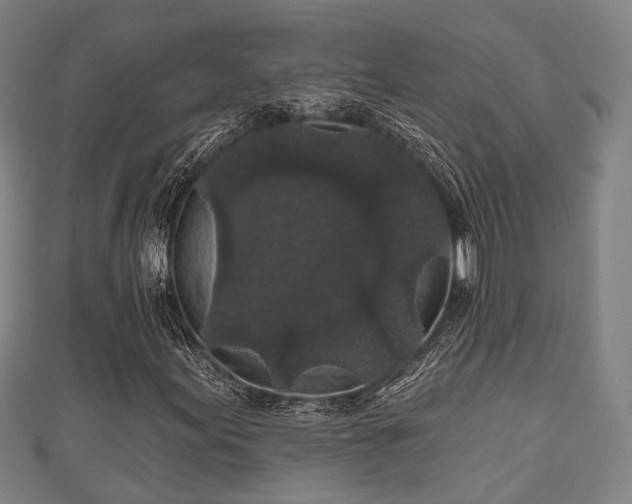 X0000111591155200907231208