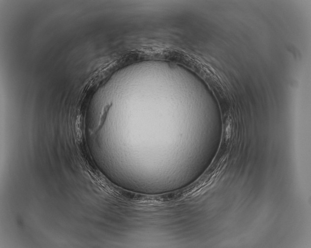 X0000111591156200907231208