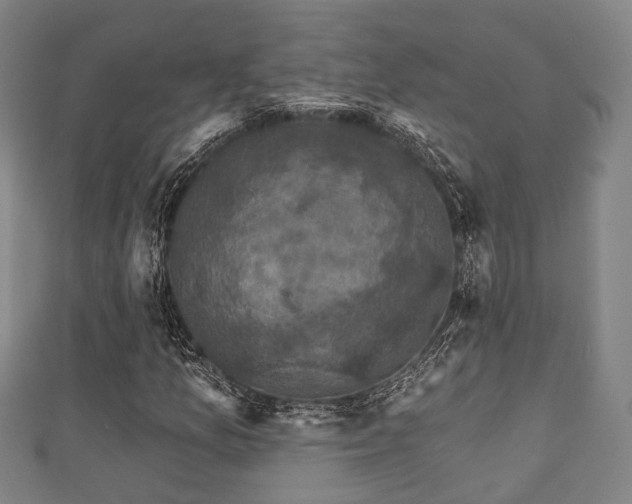 X0000111591157200907231208