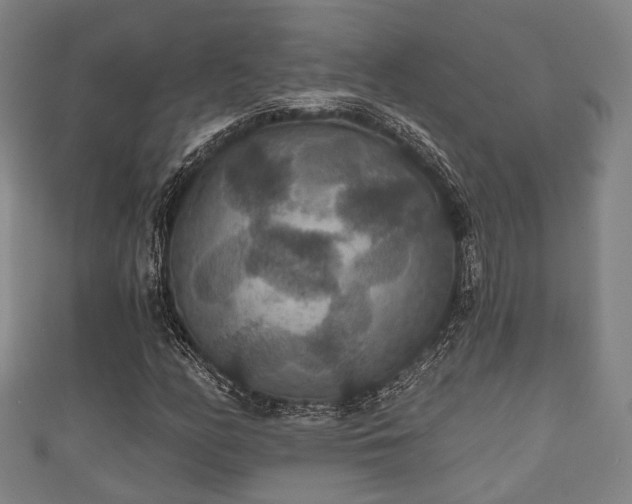 X0000111591158200907231208