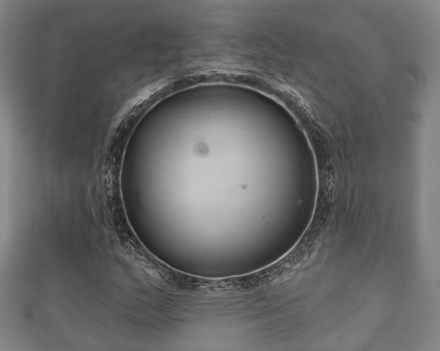 X0000111591159200907231208