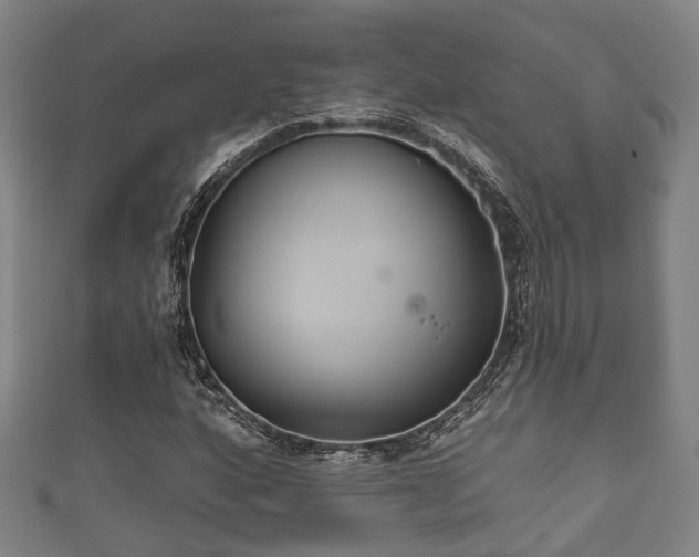 X0000111591160200907231208