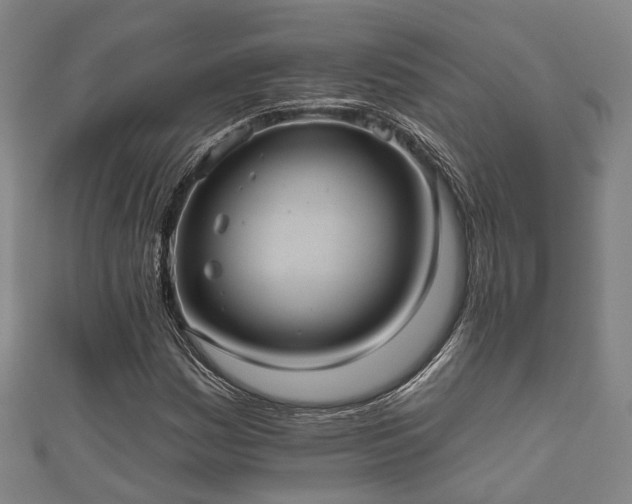 X0000111591161200907231208