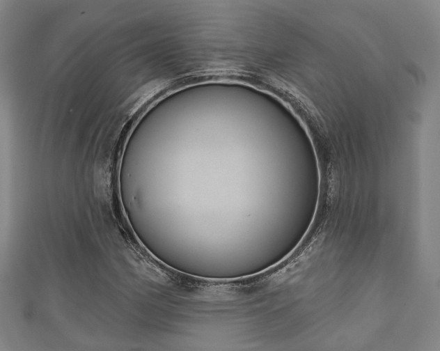 X0000111591162200907231208