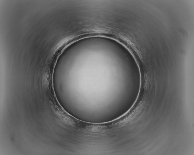 X0000111591163200907231208