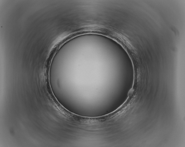 X0000111591164200907231208