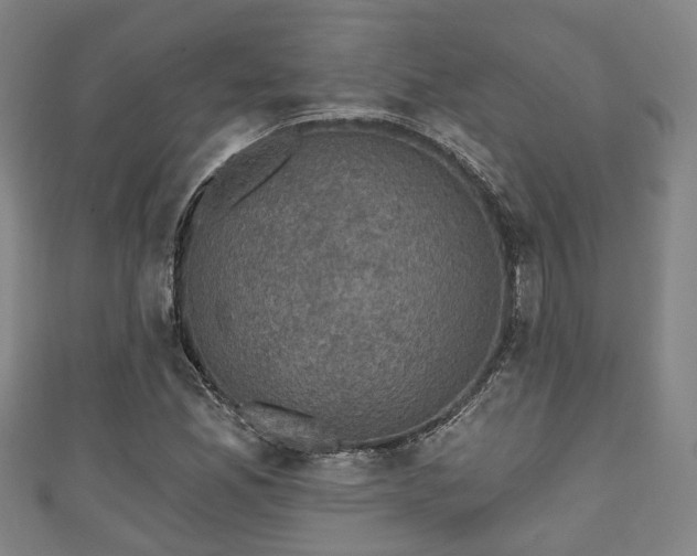 X0000111591165200907231208