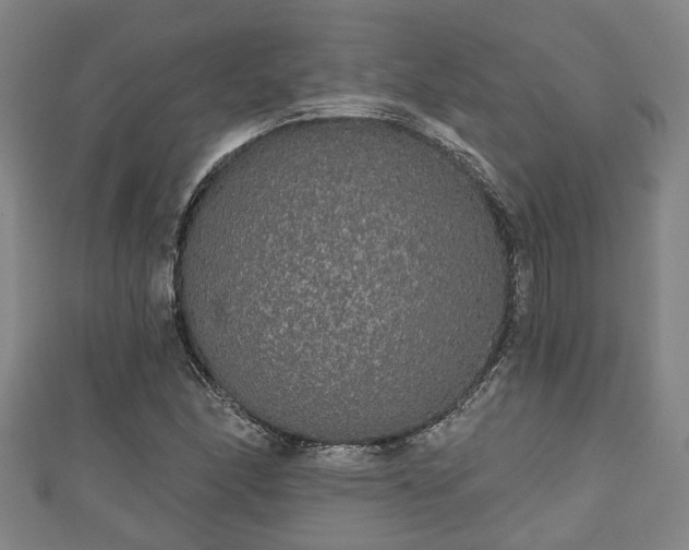 X0000111591166200907231208