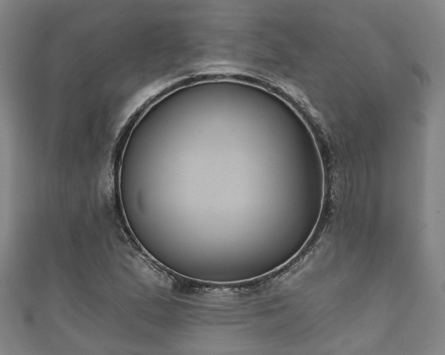 X0000111591167200907231208