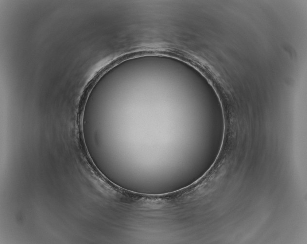 X0000111591168200907231208