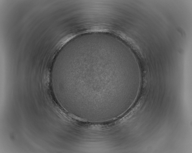 X0000111591169200907231208