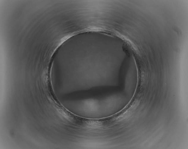 X0000111591170200907231208