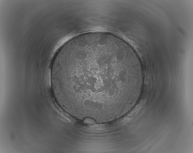 X0000111591171200907231208