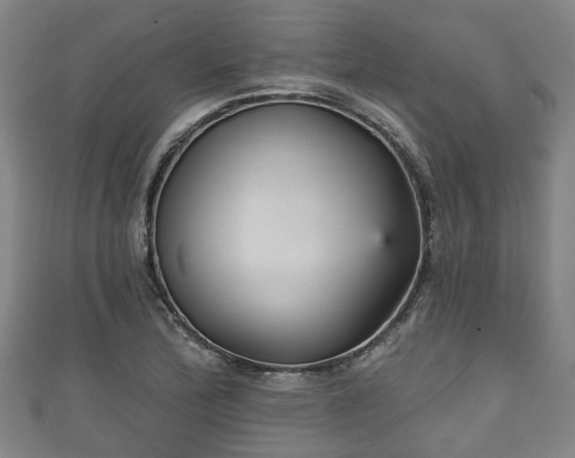 X0000111591172200907231208