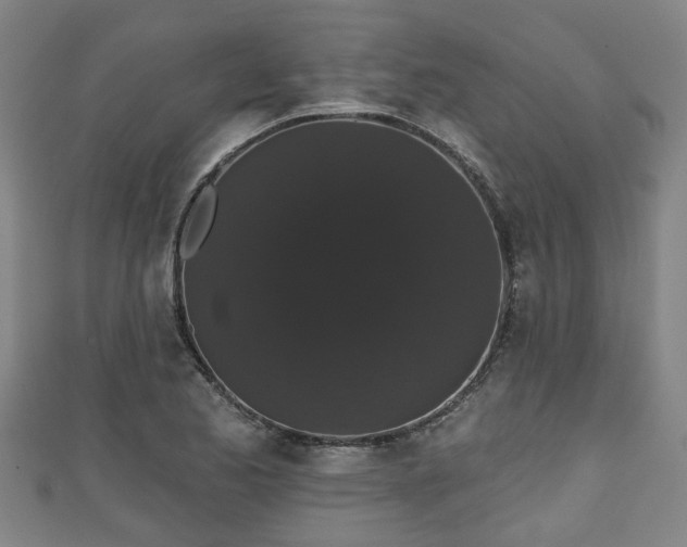 X0000111591173200907231208