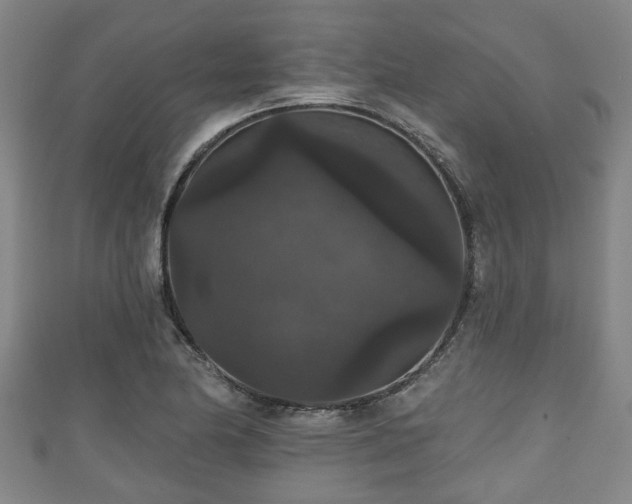 X0000111591174200907231208