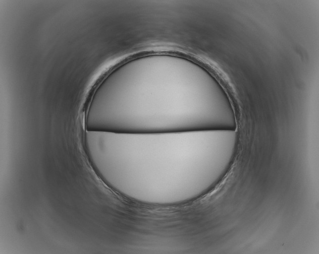 X0000111591175200907231208