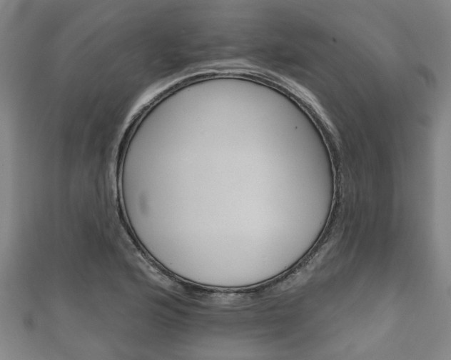 X0000111591176200907231208