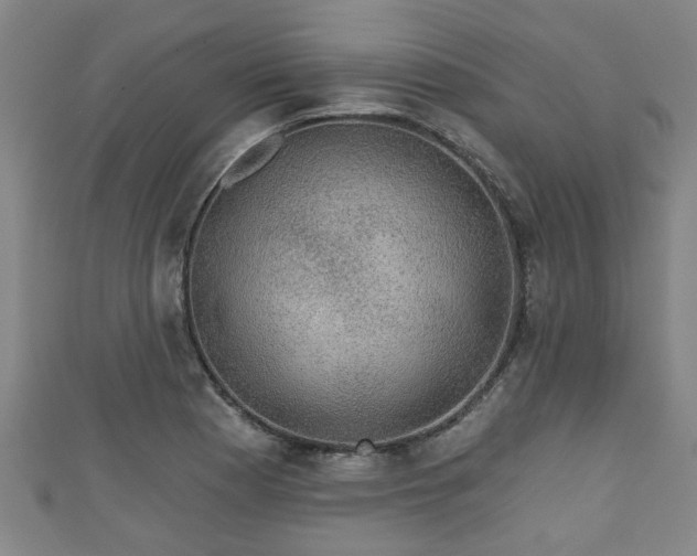 X0000111591177200907231208