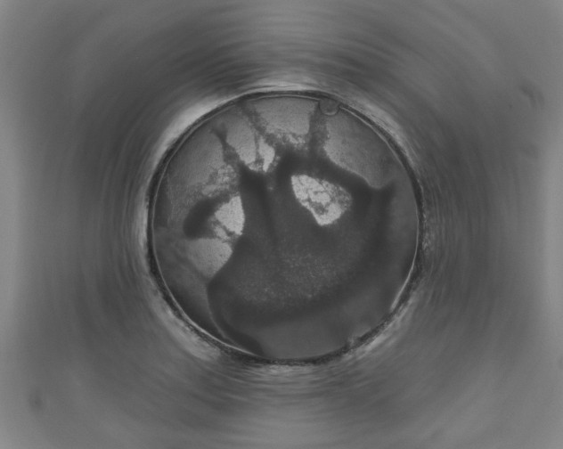 X0000111591179200907231208