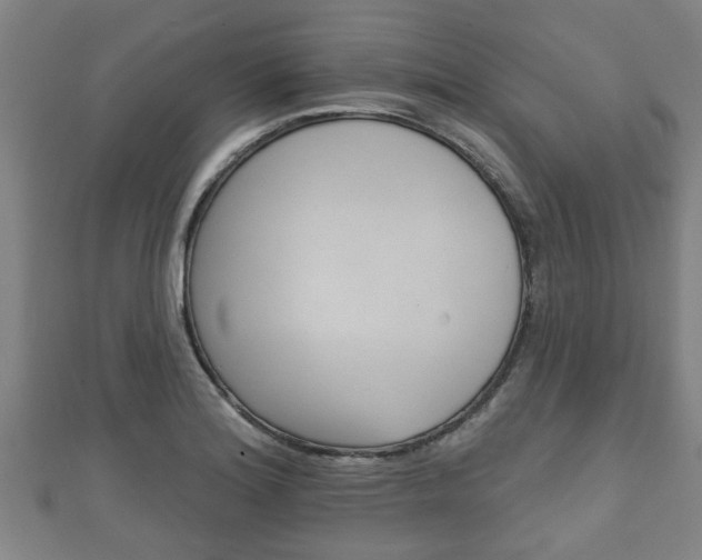 X0000111591180200907231208