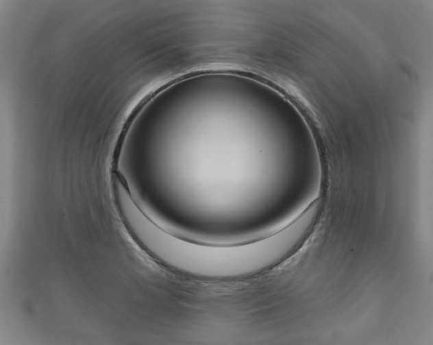 X0000111591181200907231208