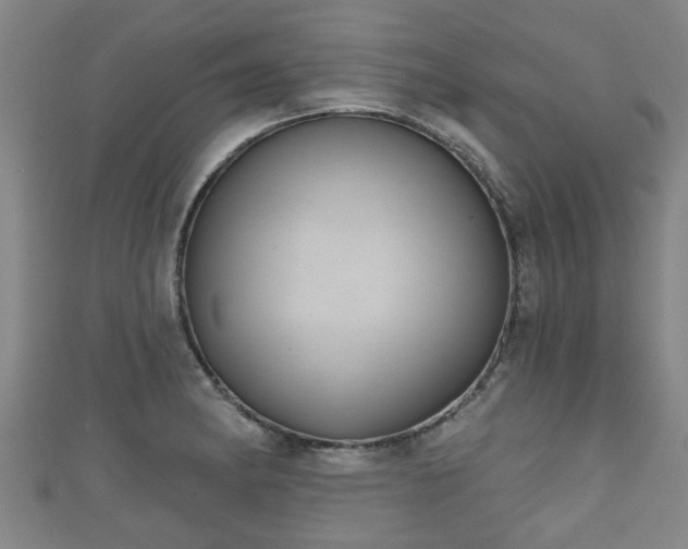 X0000111591182200907231208