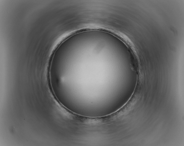 X0000111591183200907231208