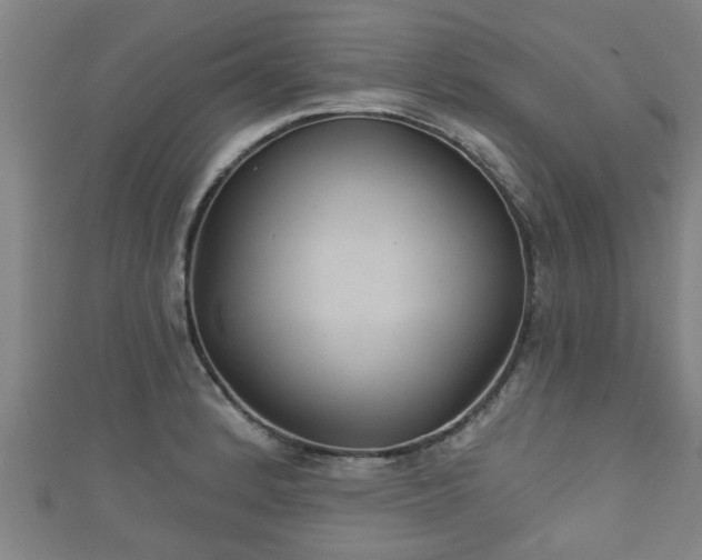 X0000111591184200907231208