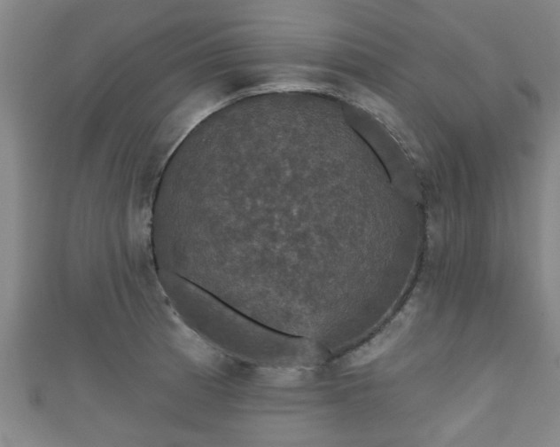 X0000111591185200907231208