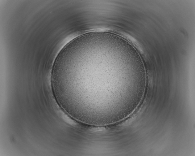 X0000111591186200907231208