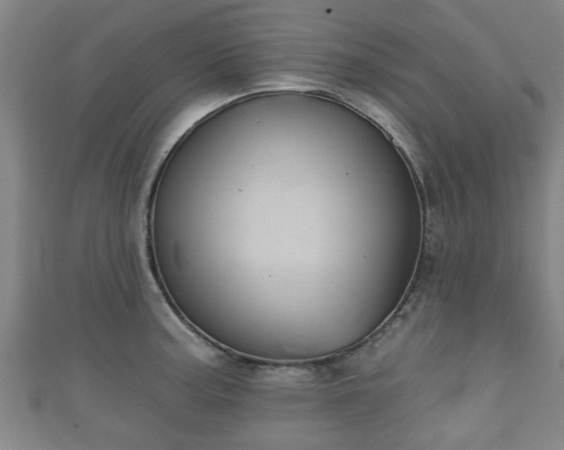 X0000111591187200907231208