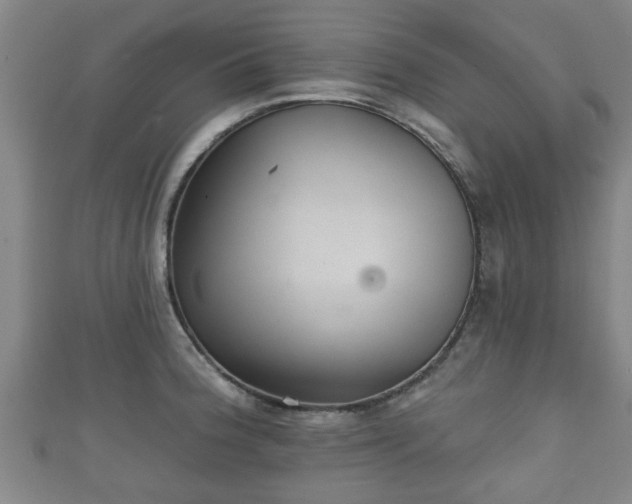 X0000111591188200907231208