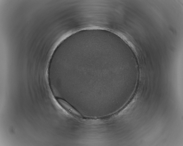 X0000111591189200907231208