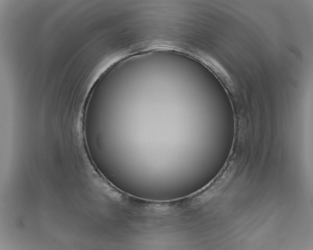 X0000111591190200907231208