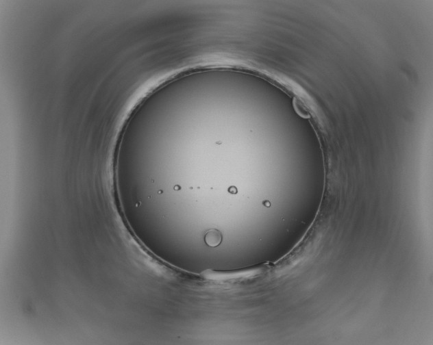 X0000111591191200907231208