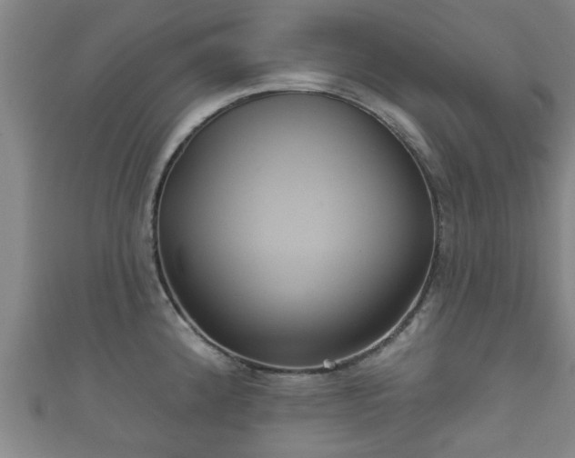 X0000111591192200907231208