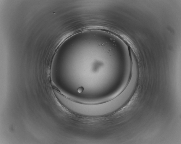 X0000111591193200907231208