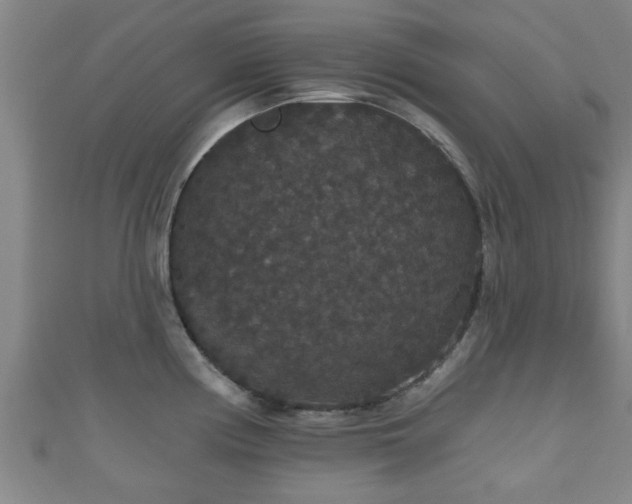 X0000111591194200907231208