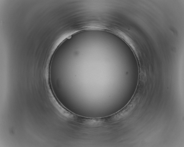 X0000111591195200907231208